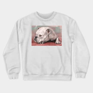 Painting of a White Bulldog Lying on the Floor. Red, Turquoise Background Crewneck Sweatshirt